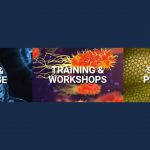 Three panels, each representing different services of the Research Data Curation program at the UC San Diego Library